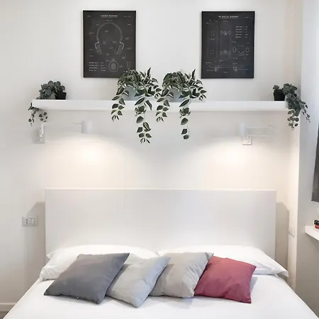 Ihost - Adriatico 6